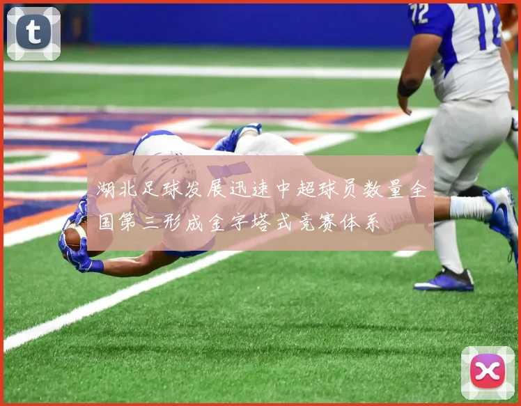 湖北足球发展迅速中超球员数量全国第三形成金字塔式竞赛体系